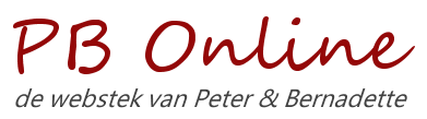 Logo voor PB Online